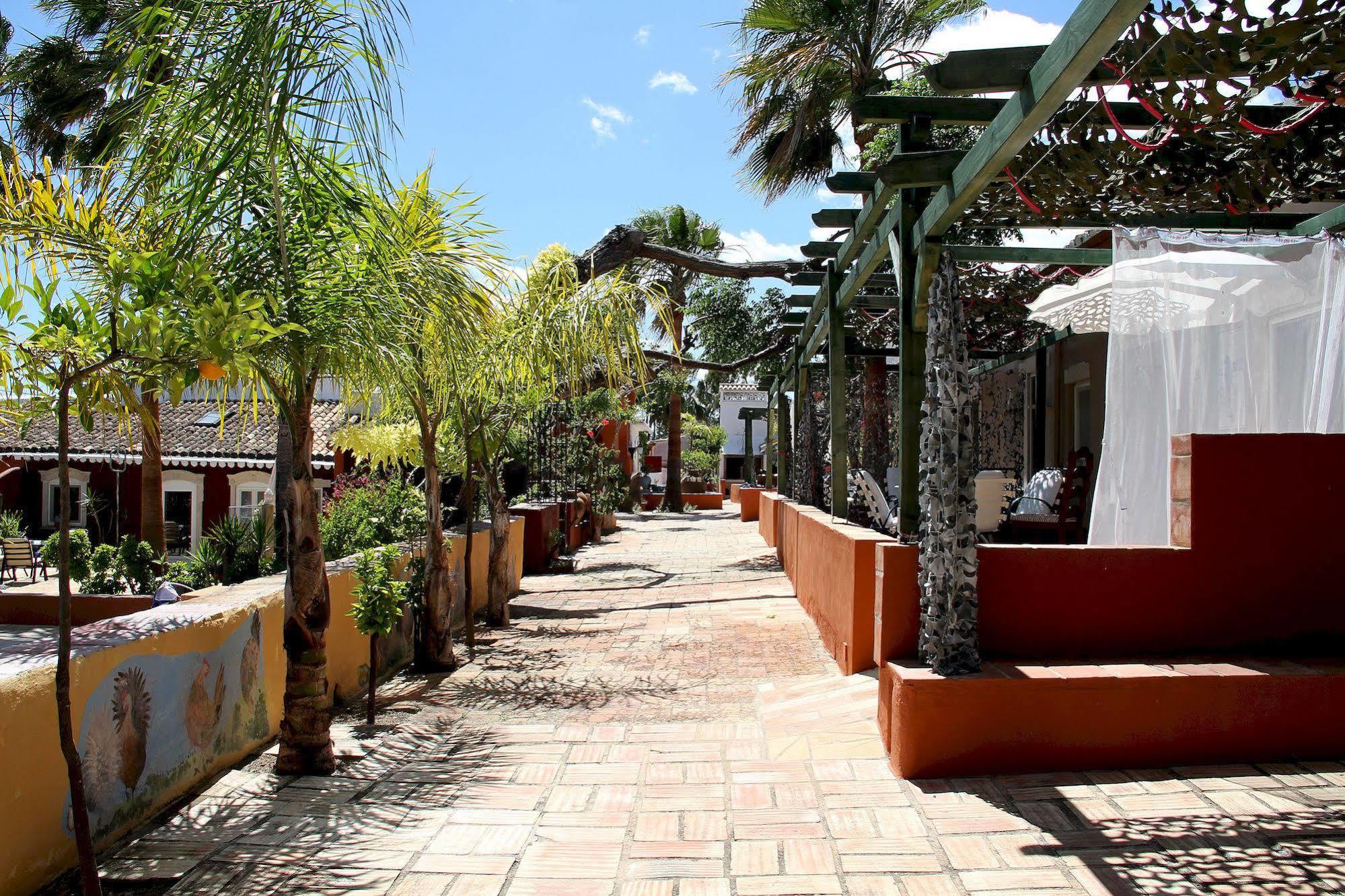 Quinta Dos Amigos Apartment Almancil Bagian luar foto